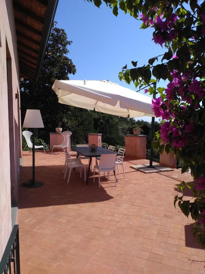 La Corte Di Bafe B&B "Slow Life" Zafferana Etnea Exterior foto